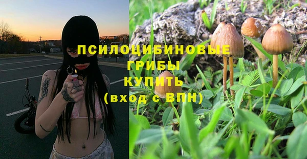 мдпв Покров