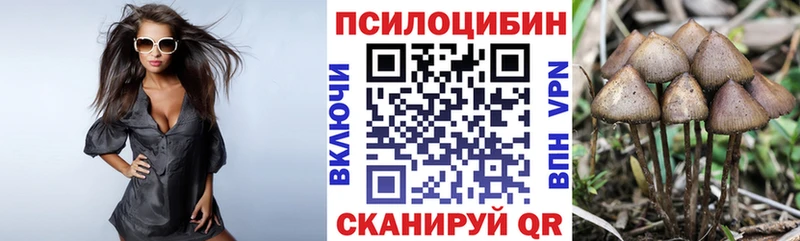 Галлюциногенные грибы Magic Shrooms как найти закладки площадка наркотические препараты Саянск