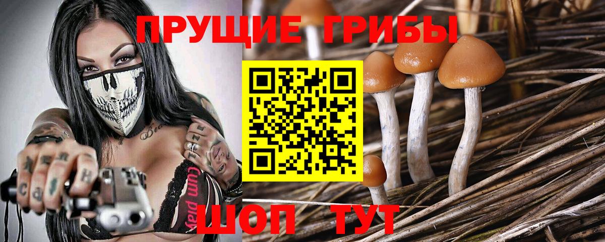 Галлюциногенные грибы MAGIC MUSHROOMS Саянск
